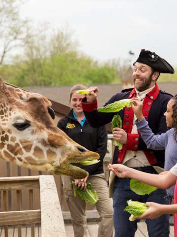 Summer 2019 Campaign Soldiers & Kids Elmwood Park Zoo Giraffe Feeding