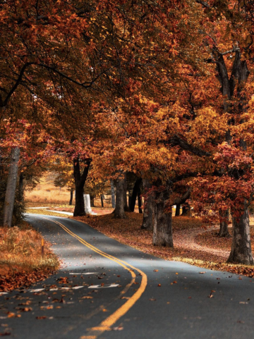 Fall