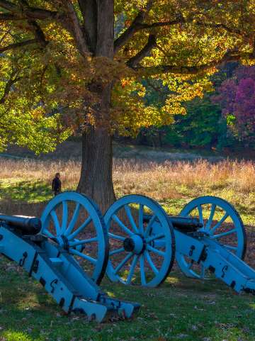 fall valley forge park