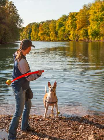 dog near water fall