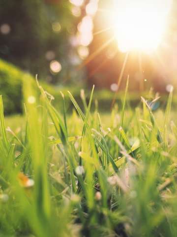 Spring
