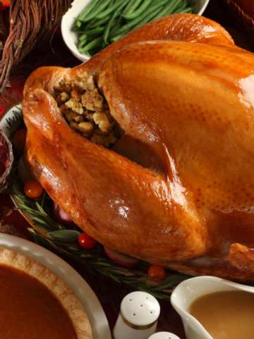 turkey