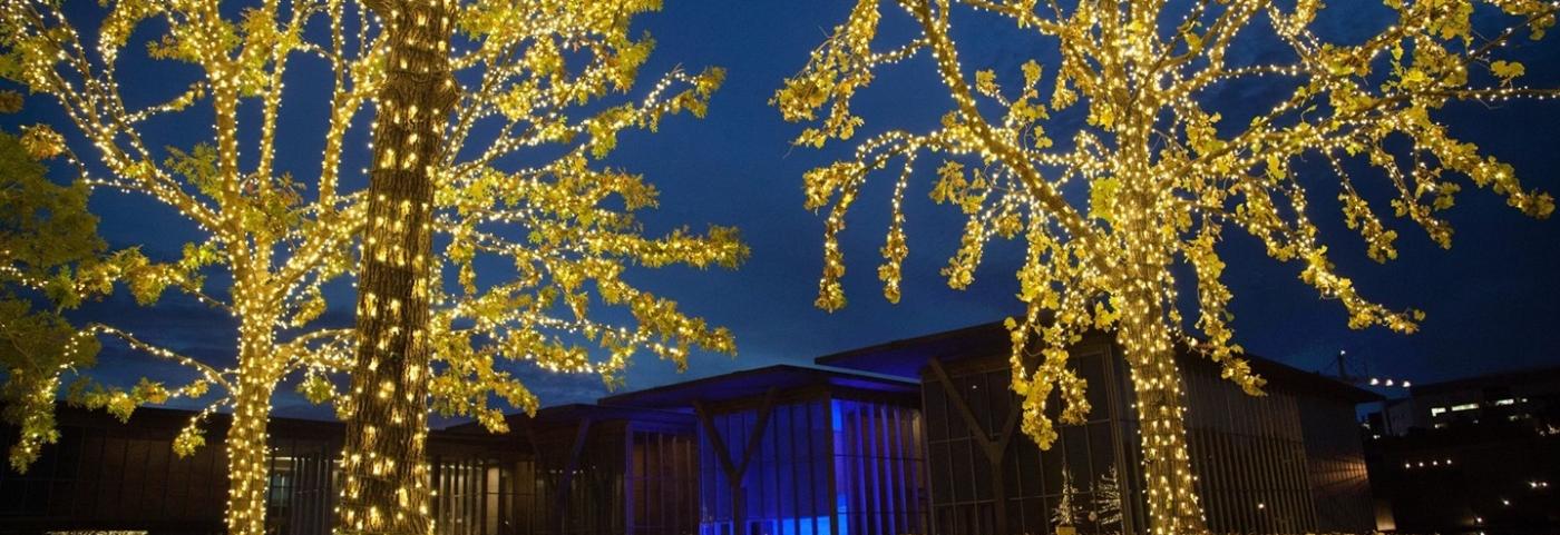 Christmas Lights Downtown Fort Worth 2021
