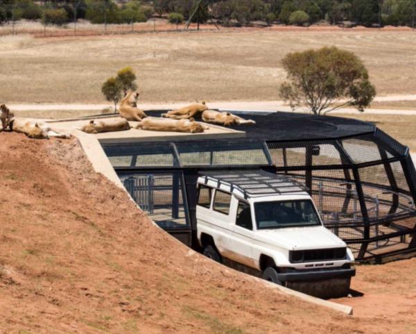 Monarto Zoo