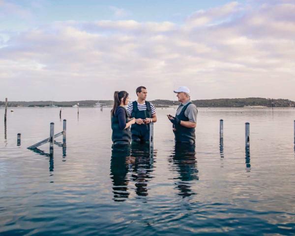 Be Courageous or Calm in Port Lincoln