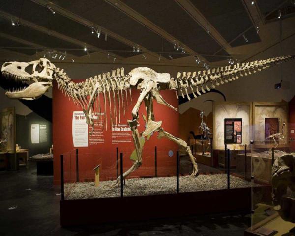 South Australian Museum