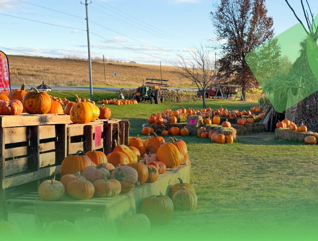 Farm & Table Thumbnail