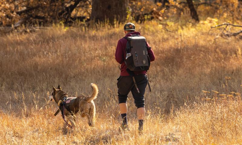 Man-hiking-along-with-his-dog