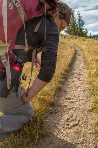 hiker in yellowstone