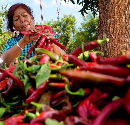 Hatch Chile Fest 1