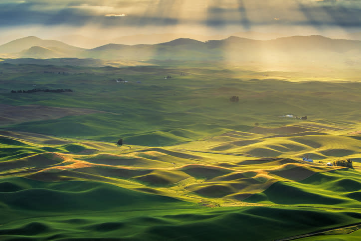 Palouse photography