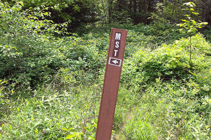 mst_post_4e758f31-33e2-4916-8648-ba633d24448e