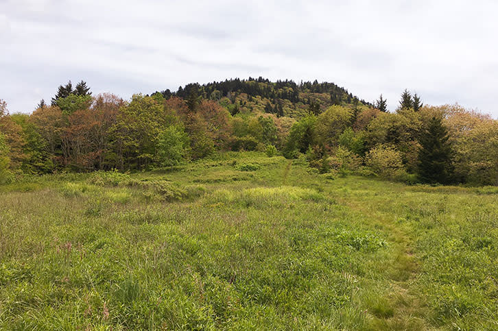 rough_butt_3c662900-df09-4b16-a1b8-5230a80f00a3