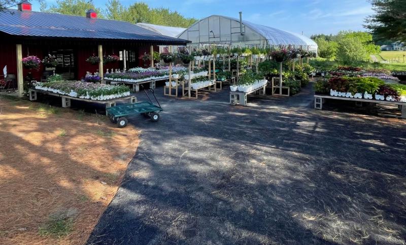 Bethel Lane Farm Stop