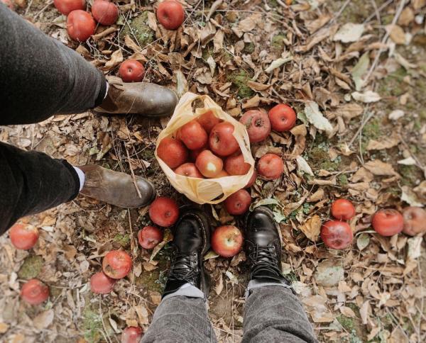 Two people with a bag of apples at Lynd Fruit Farm in Columbus