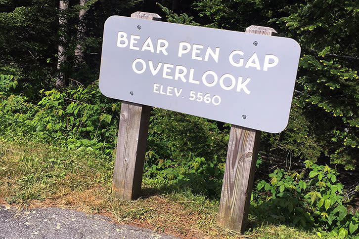 Bear_Pen_Gap_73f47947-68d5-41be-bc36-a44342cbb9bb