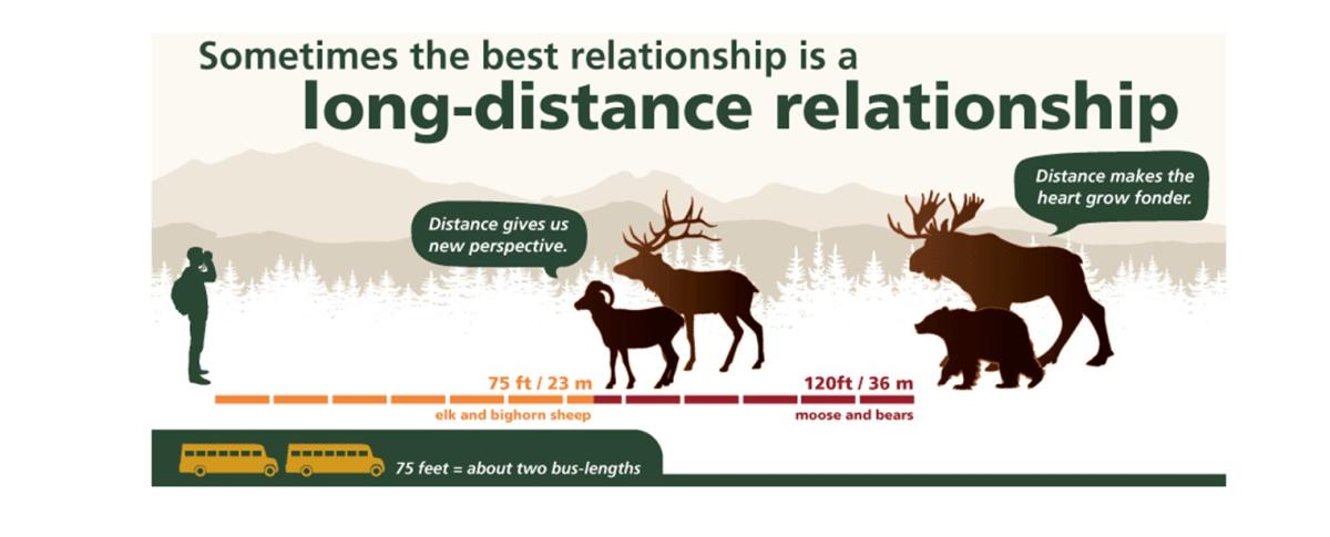 Wildlife Viewing Distance