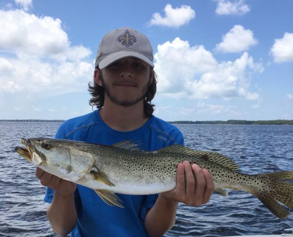 Speckled Trout