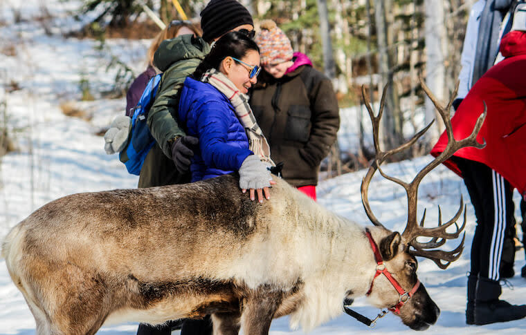 Reindeer Walk