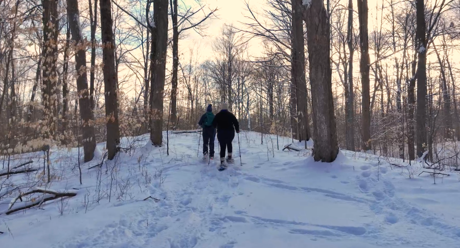 Two friends snowshoeing through the woods during sunset at Dryer Road Park in Victor NY