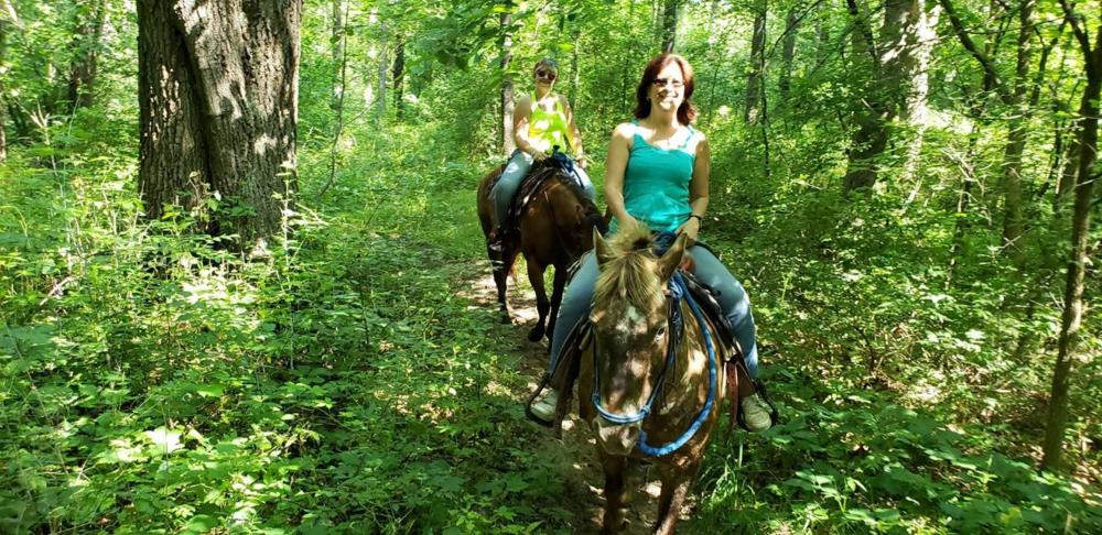 Wild 3L Ranch horse riders in the forest