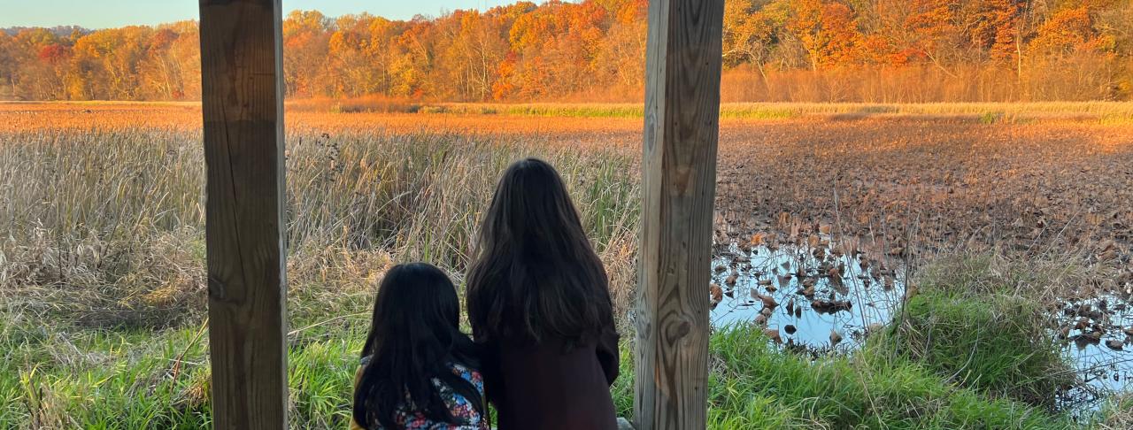 Wildwood Park Fall