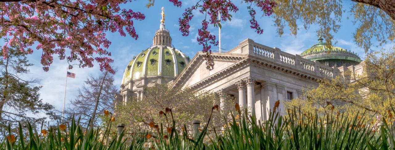 Capitol Spring