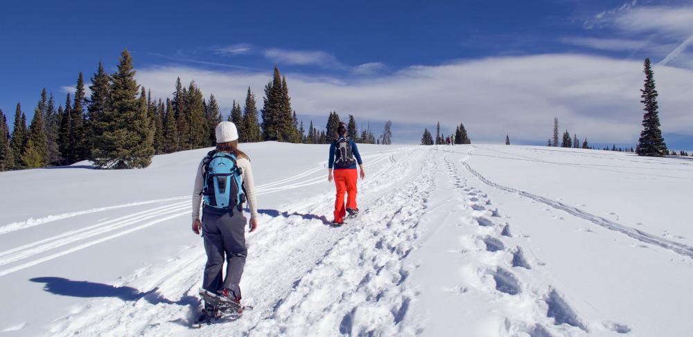 Winter Snowshoe Adventure