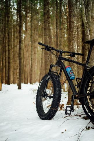 Fat Tire Biking