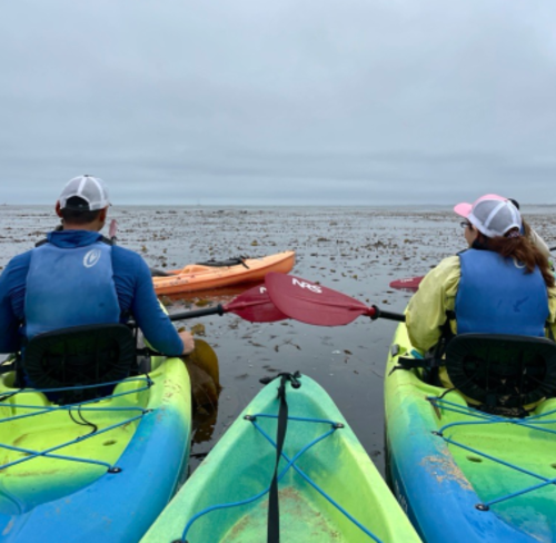 Adventures by the Sea_Kayaking