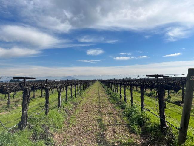 Wineries