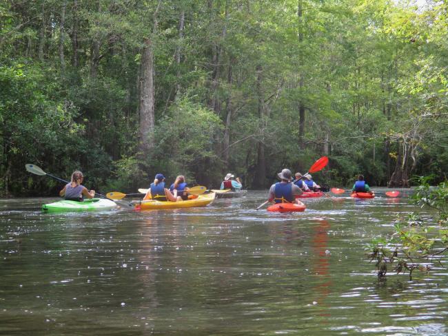 eco tours