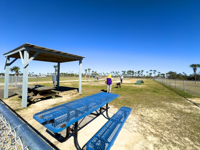 People and their dogs enjoying the dog park