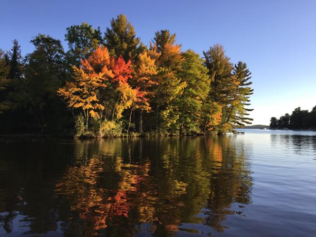 Fall Reflections