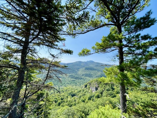 Boulder Loop Trail: Summit View