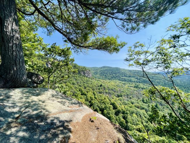 Boulder Loop Trail: Viewpoint