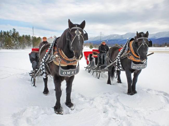 Omni Mount Washington Hotel Sleigh Rides