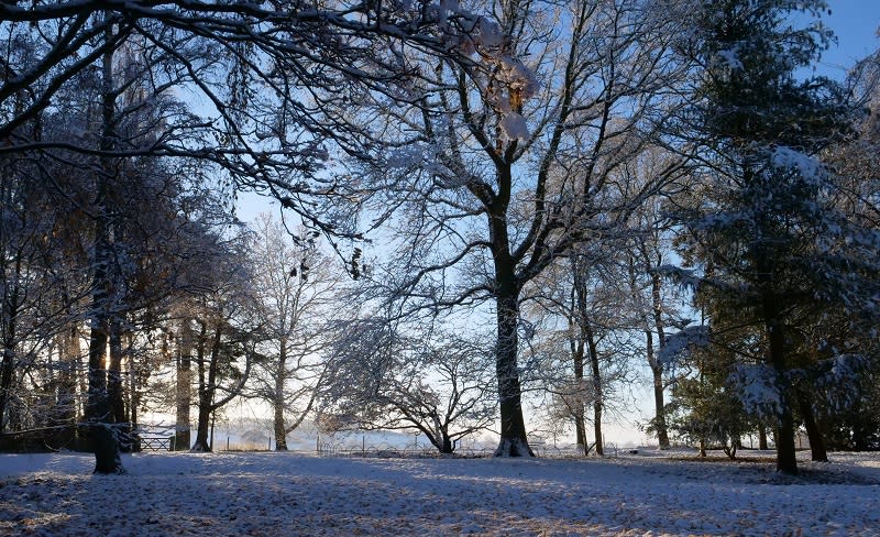 The sun setting through snow covered trees at Hidcote