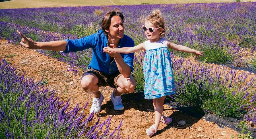 Lavendar field (Credit: Pietro Lambert)