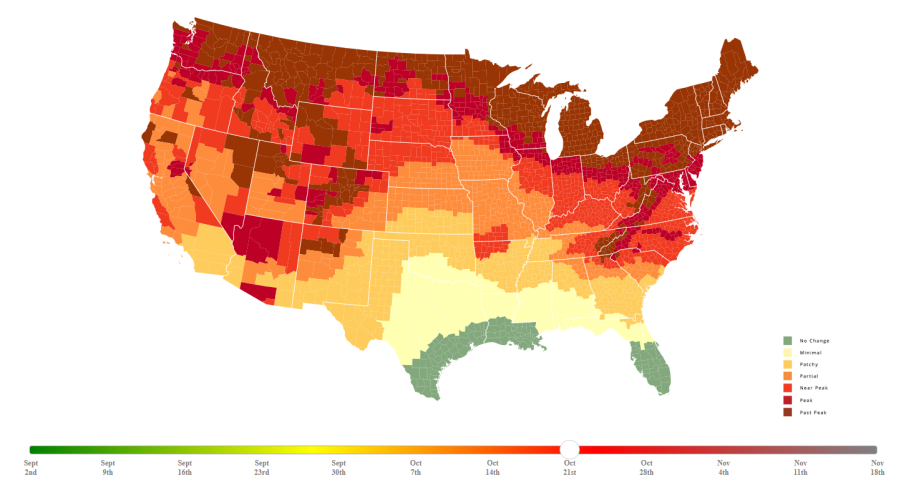 Map of the United States of America predicting peak tree leaves color changes from the website smokymountains.com/fall-foliage-map
