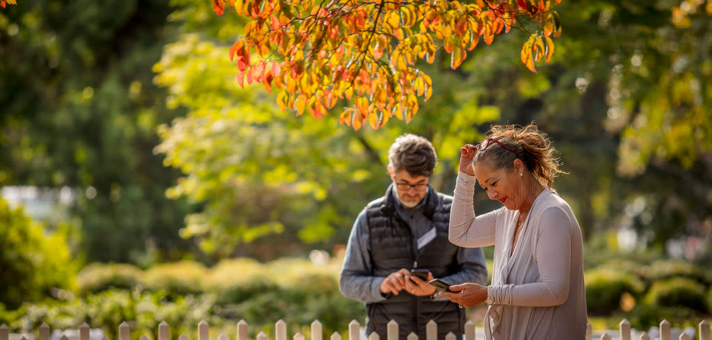 Two people looking at phones under fall leaves