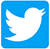 Twitter logo tiny