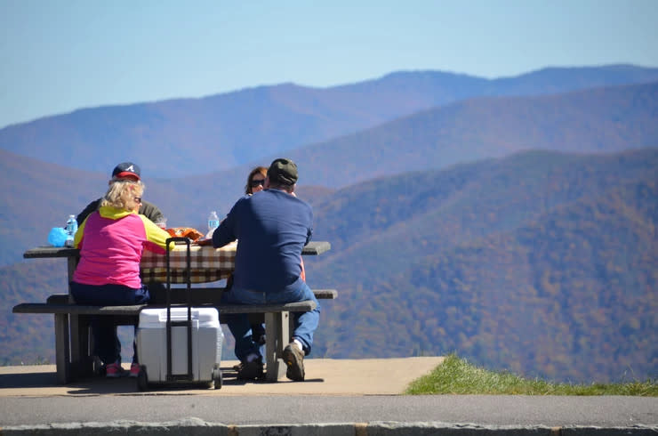 Blue Ridge Parkway Picnic