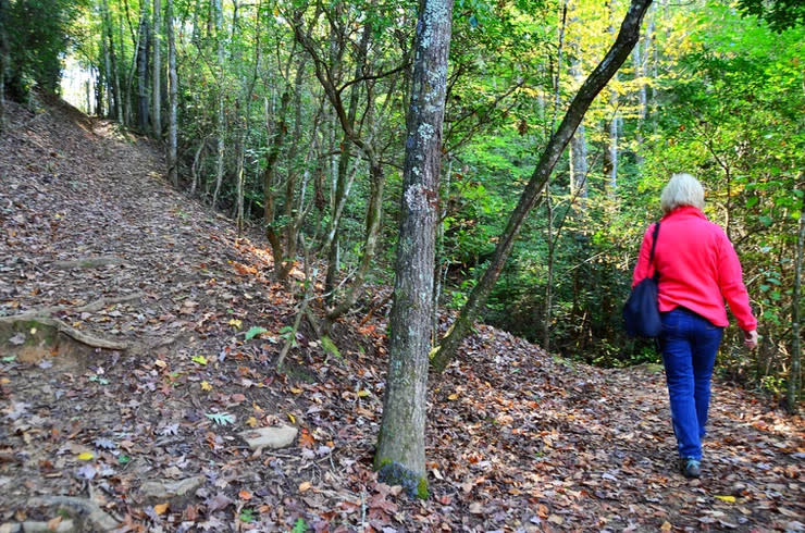 Goldmine Loop Trail