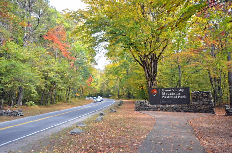 Newfound Gap Road