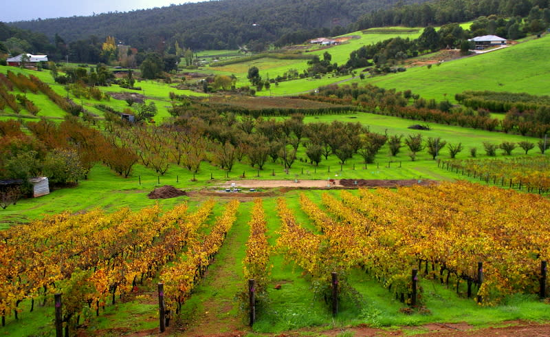 Bickley Valley Wine Trail | Perth Hills