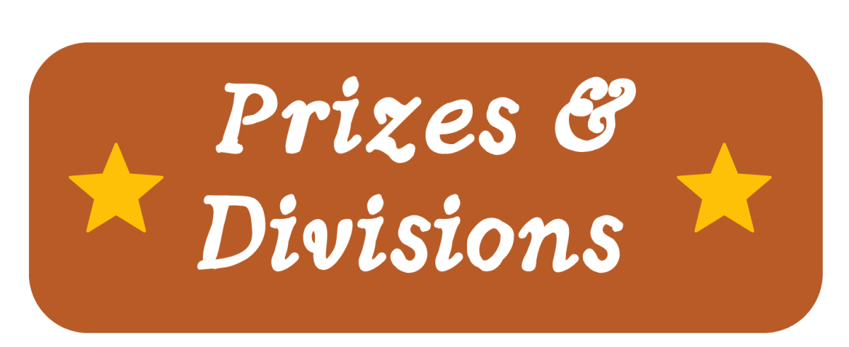 Prizes and Divisions