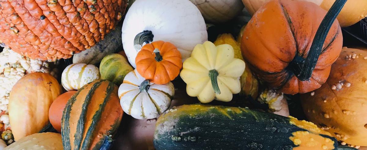 Johnson's Farm Produce pumpkins