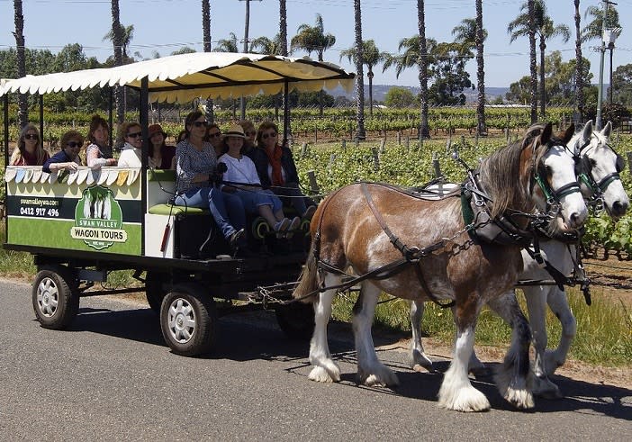 Swan Valley Wagon Tours | Swan Valley