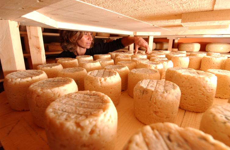 Carmelis Goat Cheese Artisan